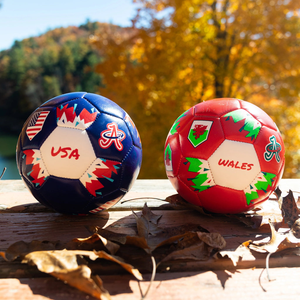 Mini Size 2 Leather Soccer Ball E806994