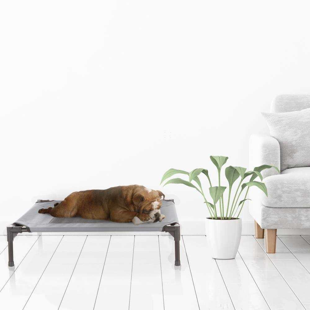 Cot-Style Elevated Pet Bed Z117017