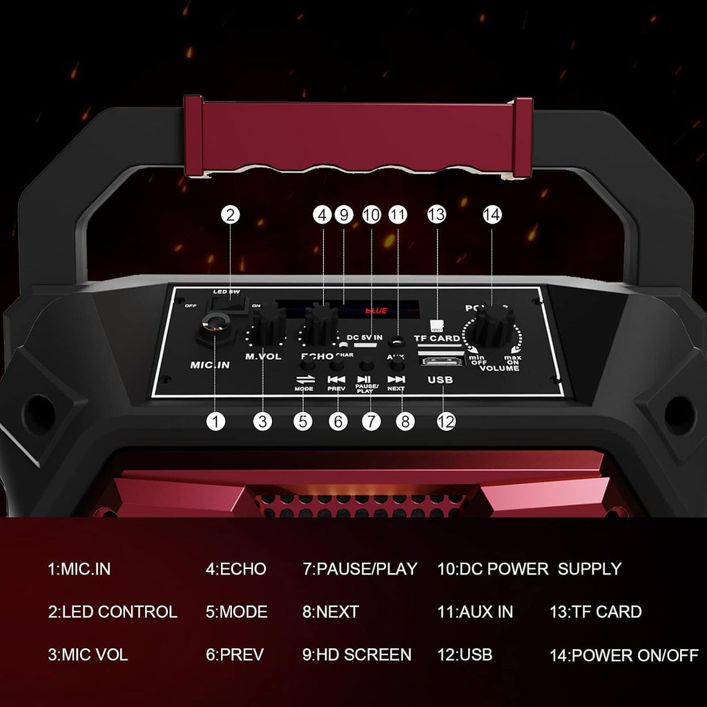 Karaoke Machine with Wireless Microphone and LED Lights Q726