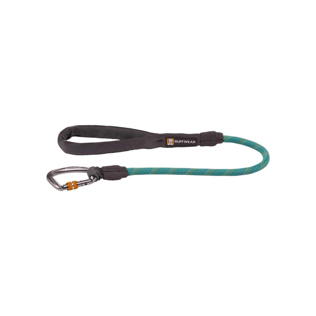 Leash Z48456
