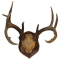 Solid Old Barnwood Deer Antler Mounting Plaque 10" x 7.5" L87039