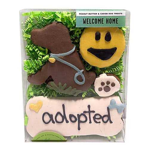 Birthday Girl Pet Supplies R9938