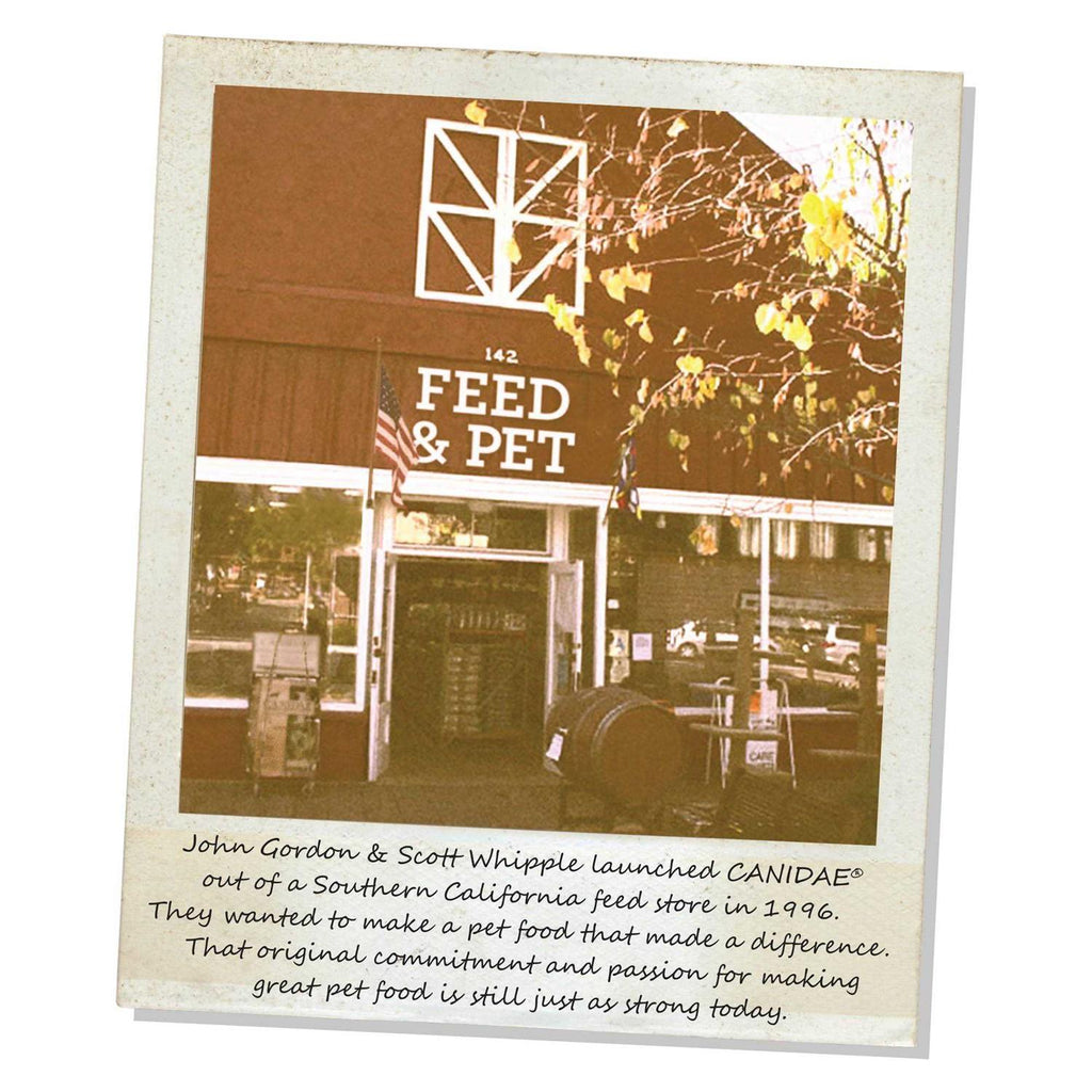 Grain-Free Salmon & Sweet Potato Recipe Dry Dog Food P998