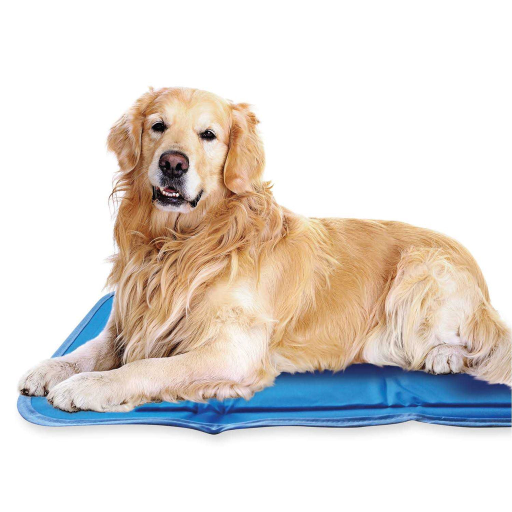 Cool Pet Pad I5569
