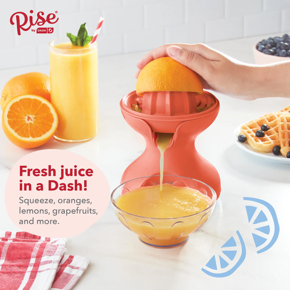 Electric Citrus Juicer H2028