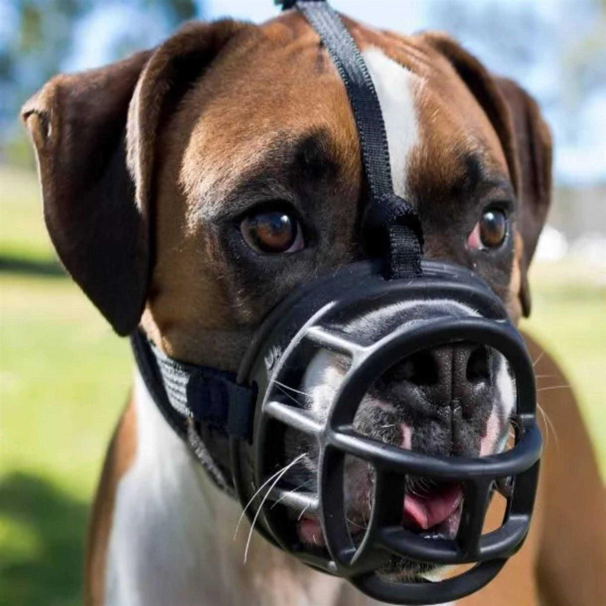 Ultra Muzzle D955