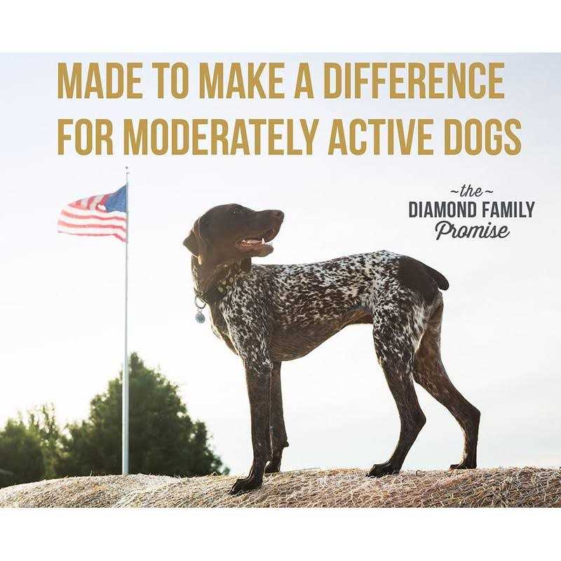Dog Food B699