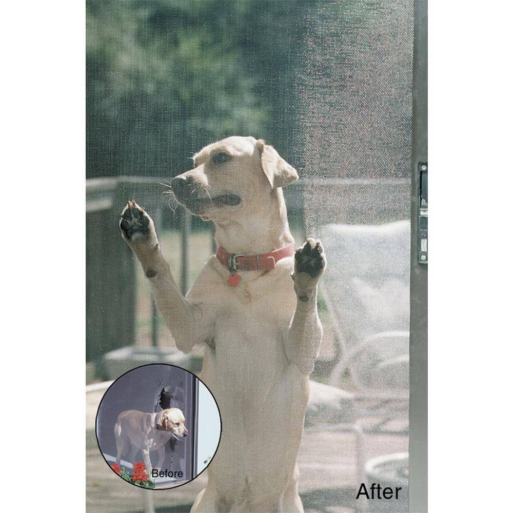 Gray Petscreen X5993
