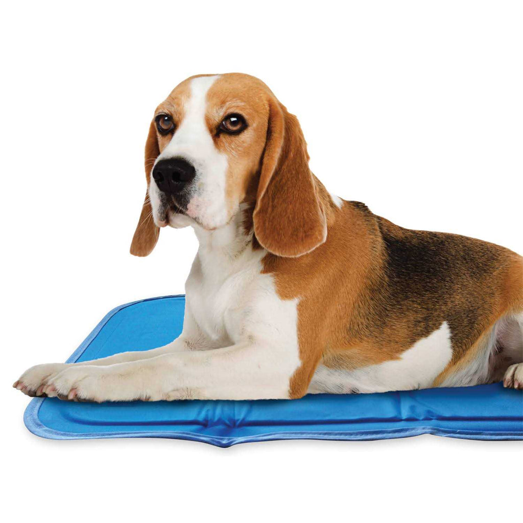 Cool Pet Pad I5569