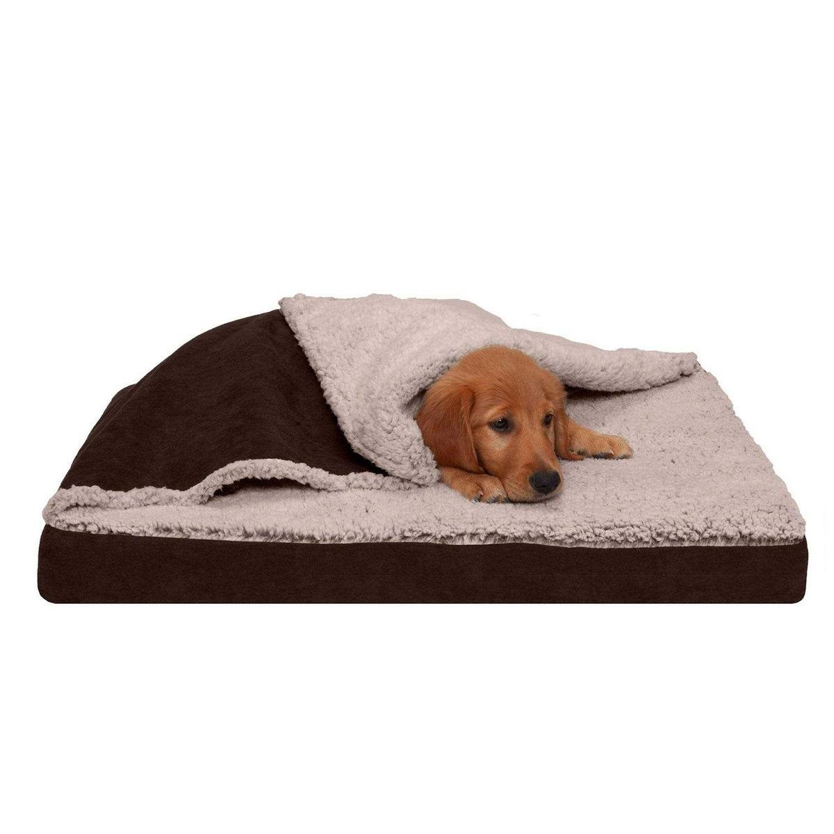 Blanket Top Dog Bed C6215