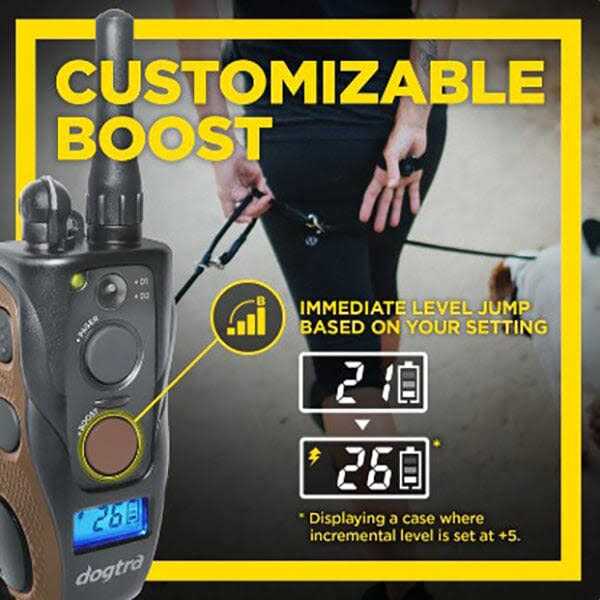 Dogtra 1902S Handsfree Plus - Pet Supplies online store Y57026