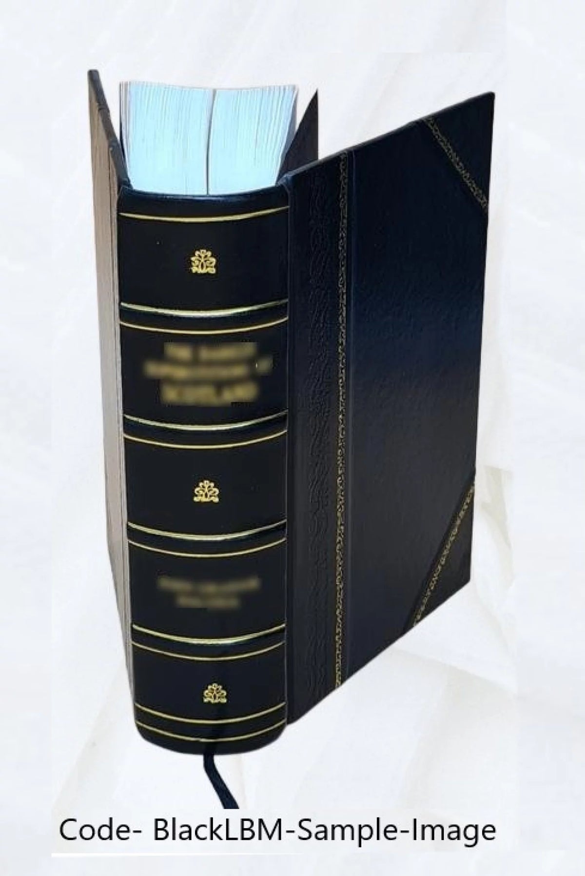 Leather Bound Tale for Real Life D6580