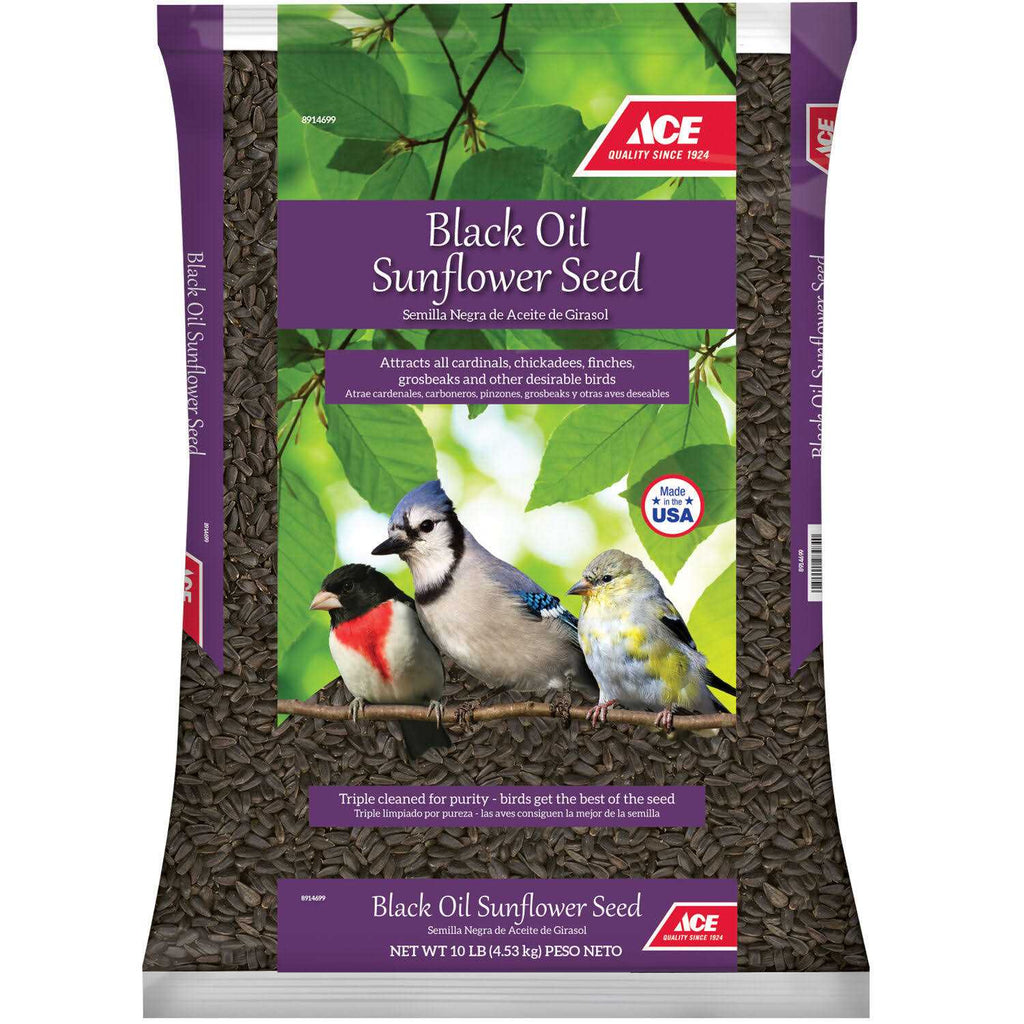 Black Oil Sunflower Seed Wild Bird Food Q287093