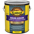 Acrylic Decking Stain White Base Gallon S28787