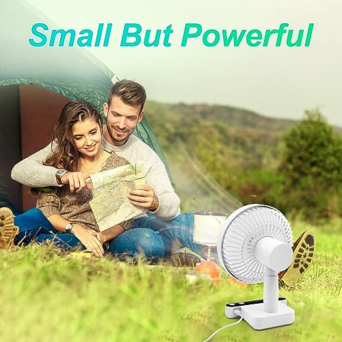 Rechargeable Oscillating Desk Fan D4242