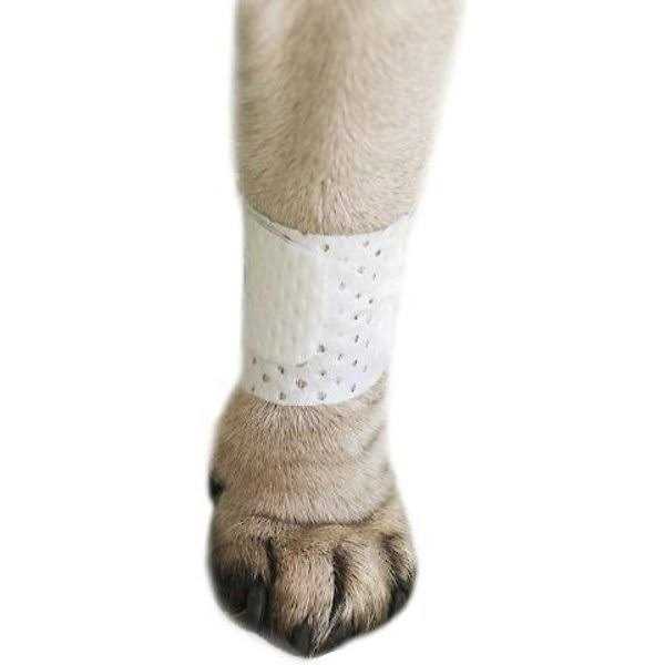 Disposable Dog Bandage Cover G412996