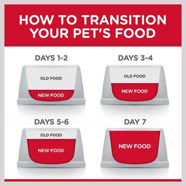 Chicken Adult 7+ Dog Food G40824