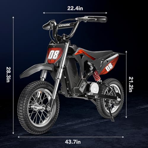 Kids Electric Dirt Bike 36V 350W 3-Speed R766