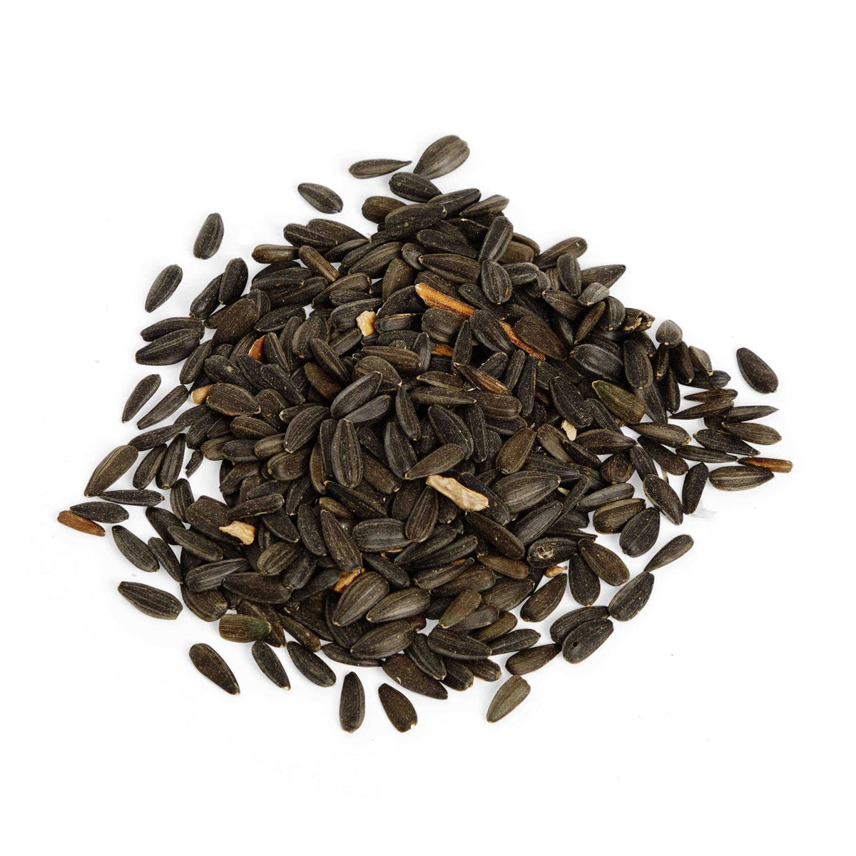 Black Oil Sunflower Seed Wild Bird Food B788