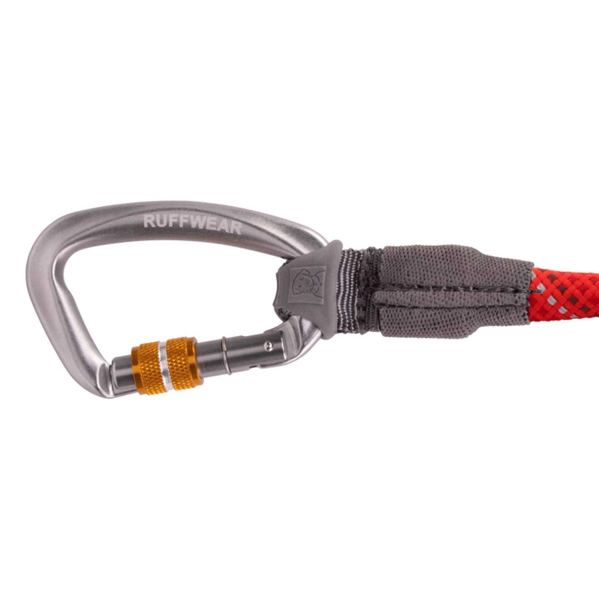 Leash Z48456