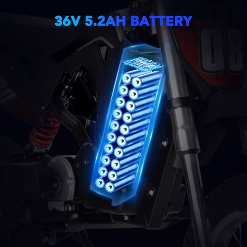 Kids Electric Dirt Bike 36V 350W 3-Speed R766