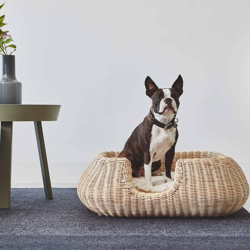 Brown Extra Large Dog Collar U974
