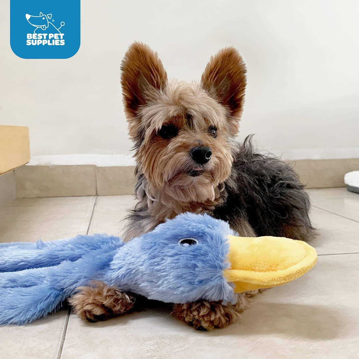 Crinkle Dog Toy with Soft Squeaker U510