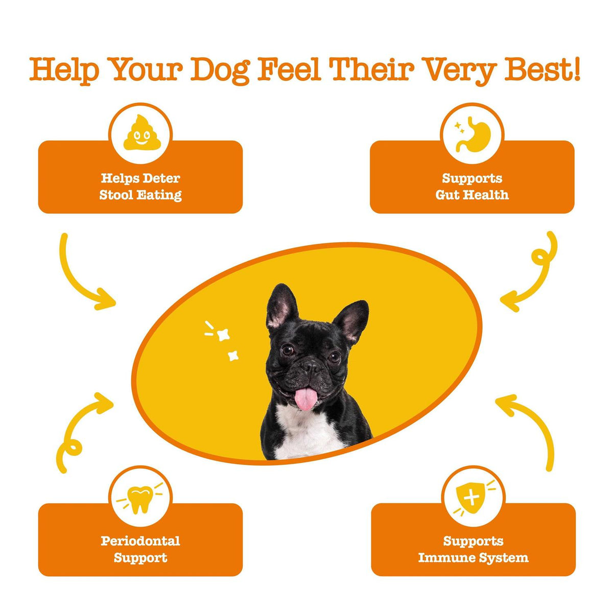 Chew No Poo Bites for Dogs V21416