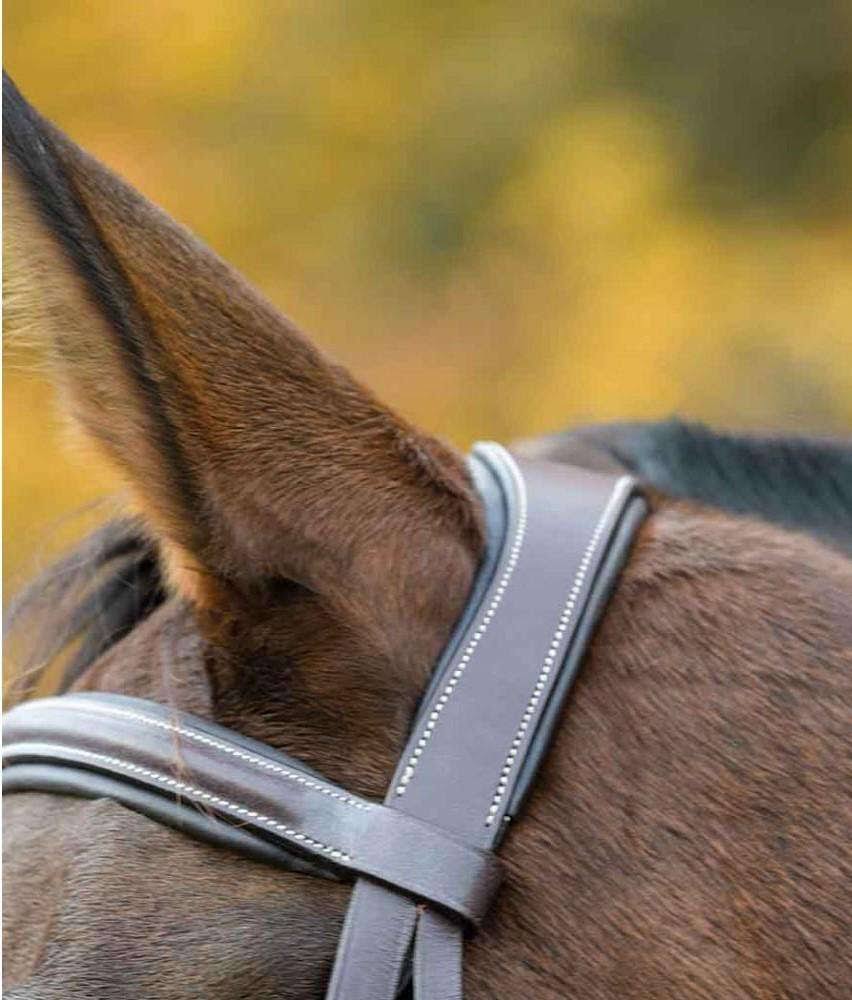 Havana Cob Bridle A7421