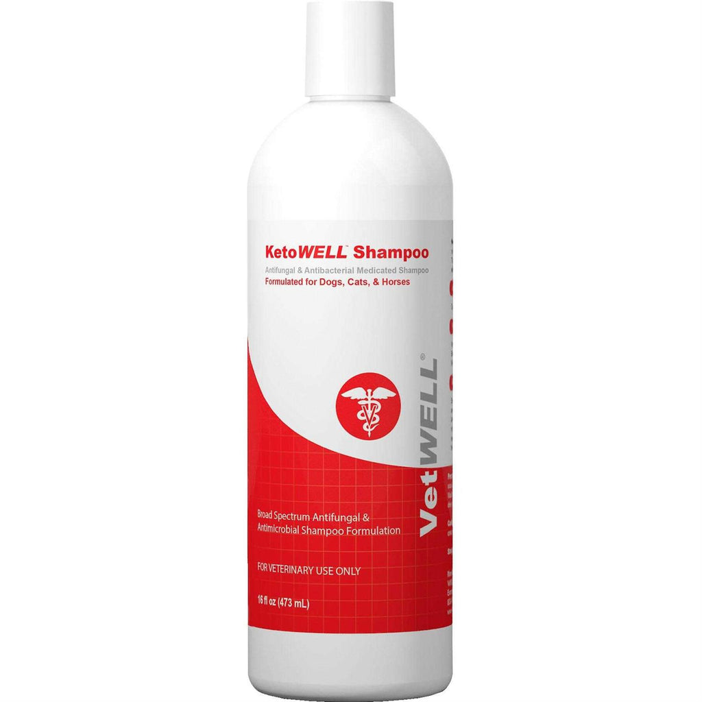 Antiseptic Dog Cat & Horse Shampoo Z288277