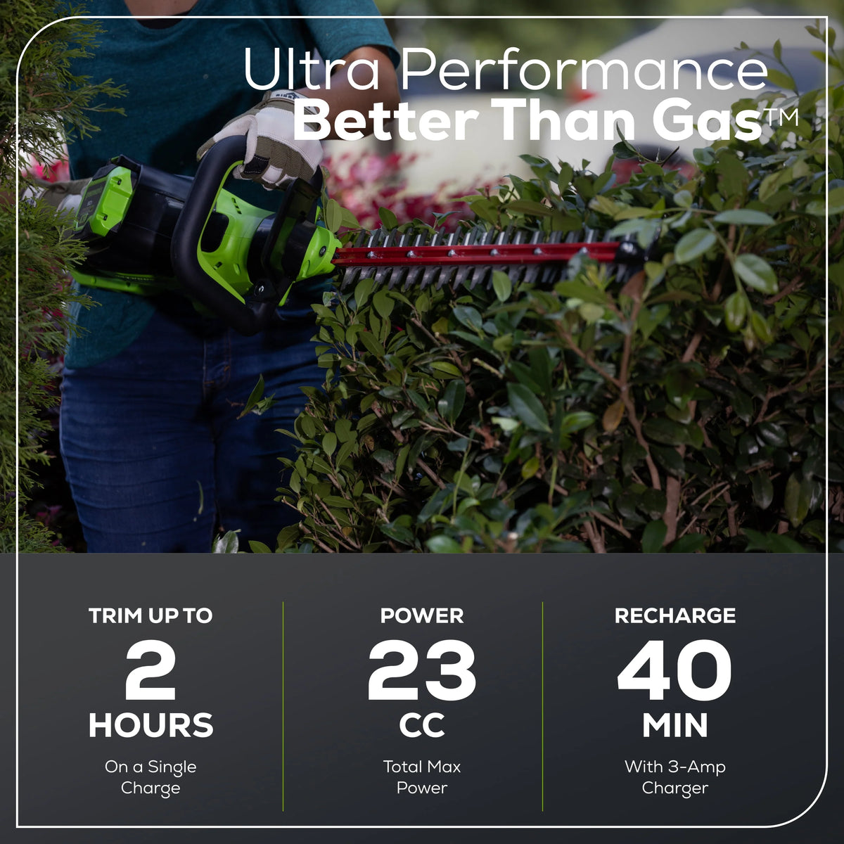 60V 26 Hedge Trimmer with 2.0 Ah Battery & 3 Amp Charger A815