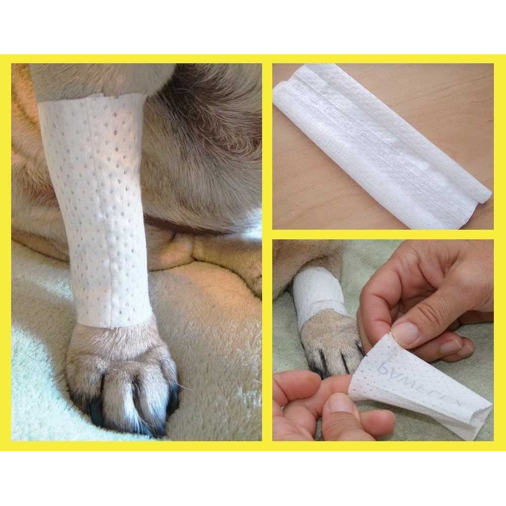 Disposable Dog Bandage Cover G412996