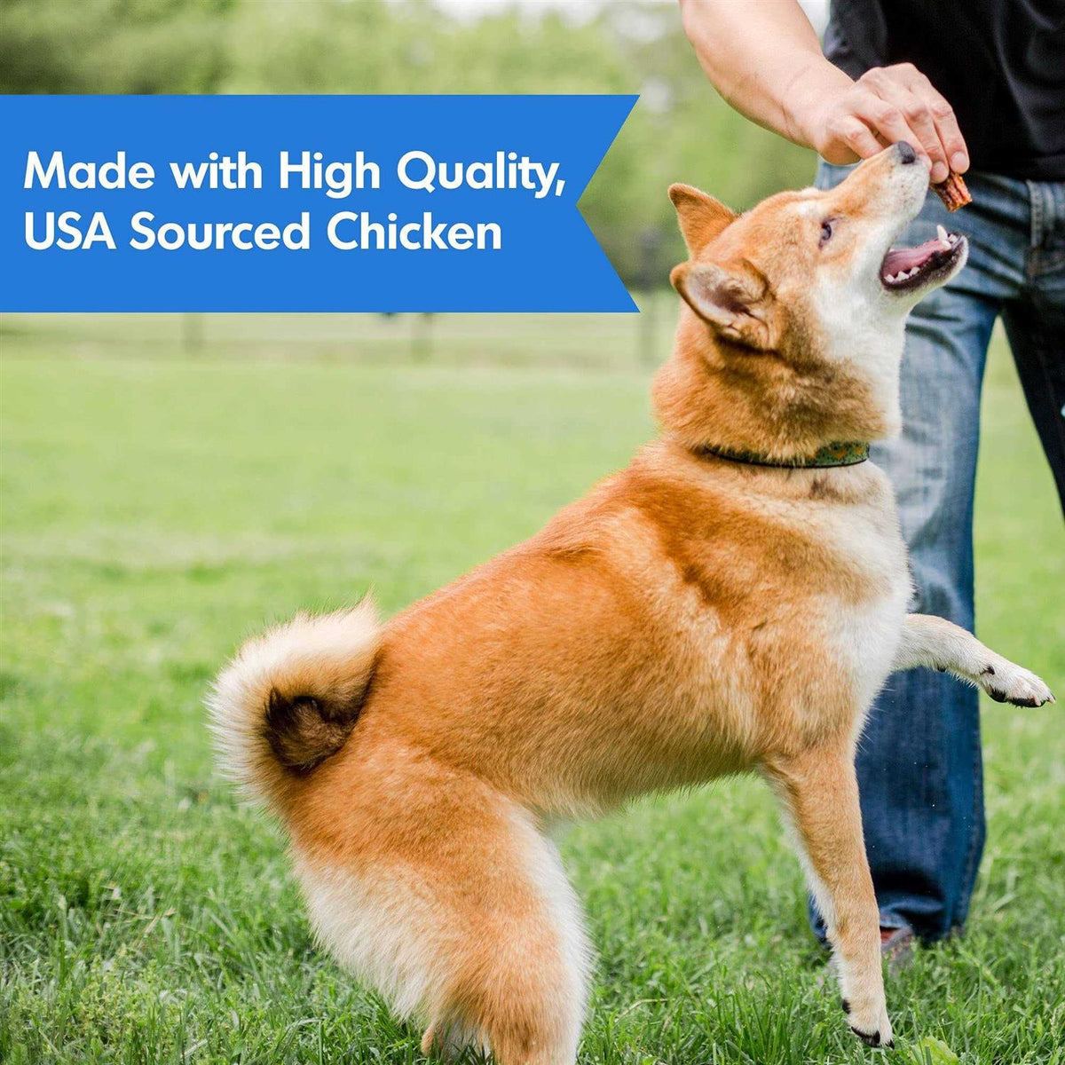 Chicken Hip & Joint Jerky Dog Treats Q93542