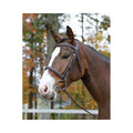 Havana Cob Bridle A7421
