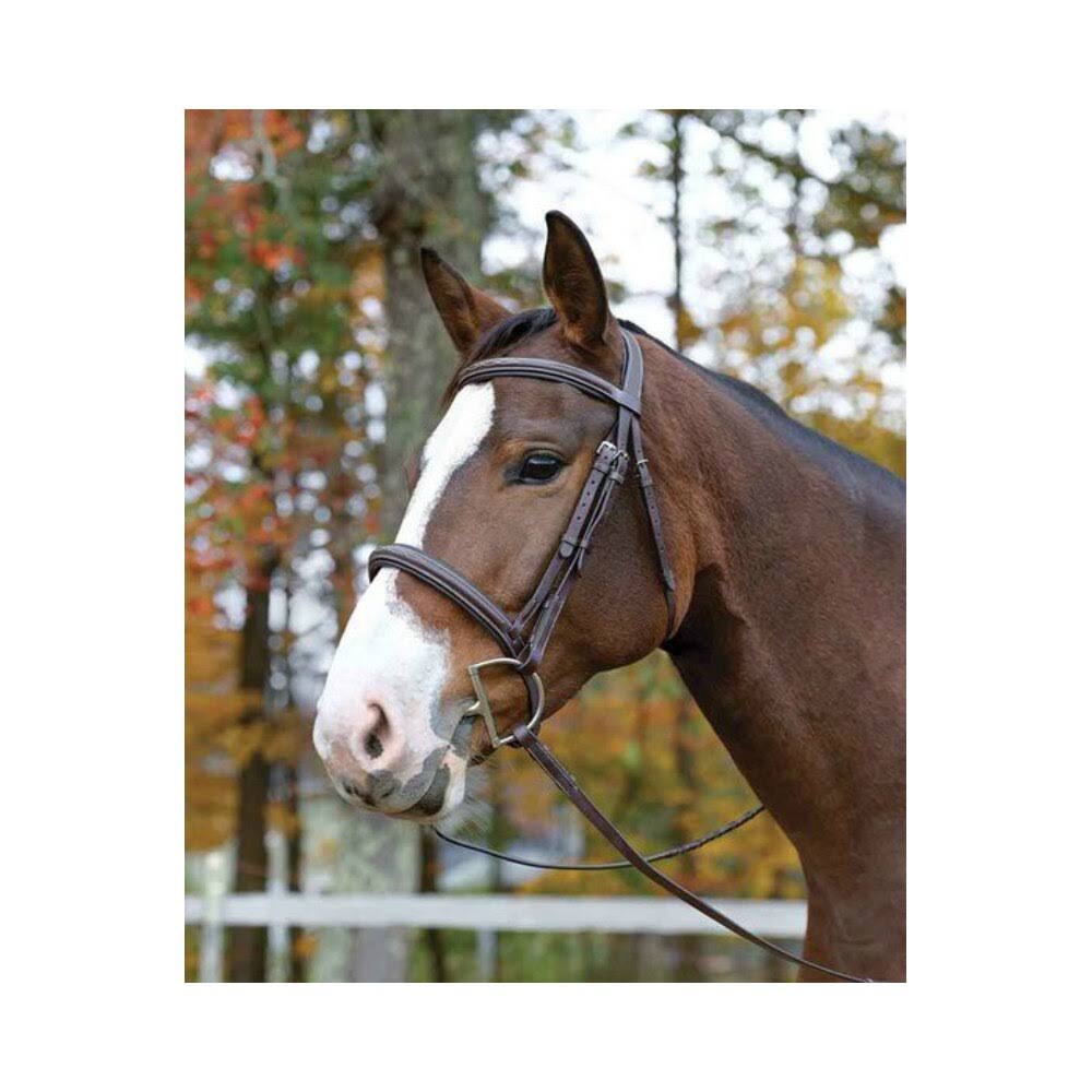 Havana Cob Bridle A7421