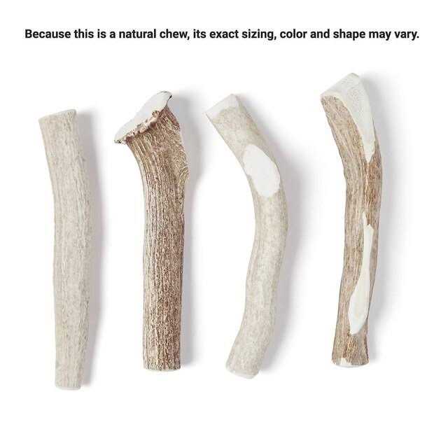 Deer Antler Dog Chew C57009