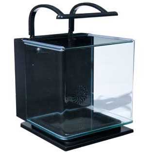 5 Gallon Kit L40632