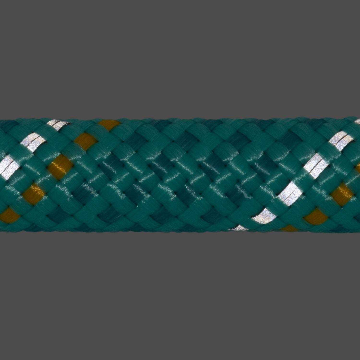 Leash Z48456