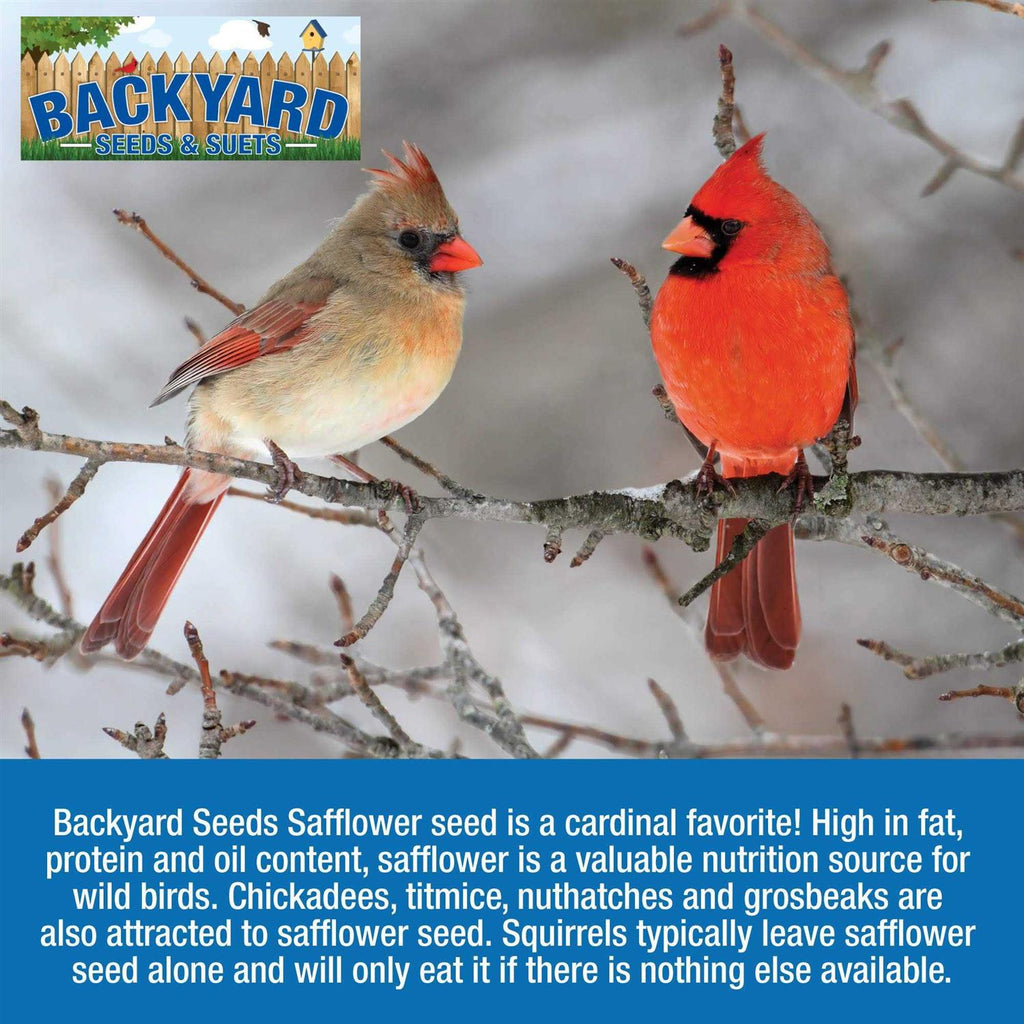 Safflower Bird Seed M329659