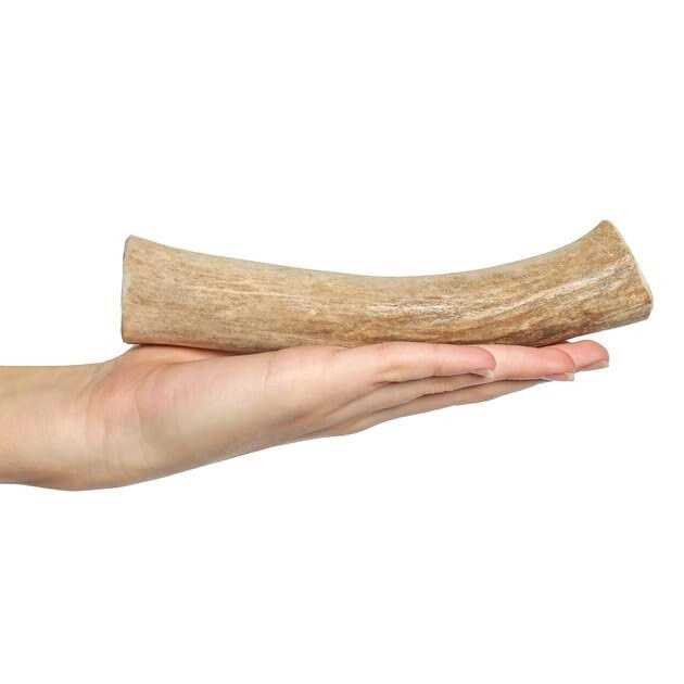 Deer Antler Dog Chew C57009