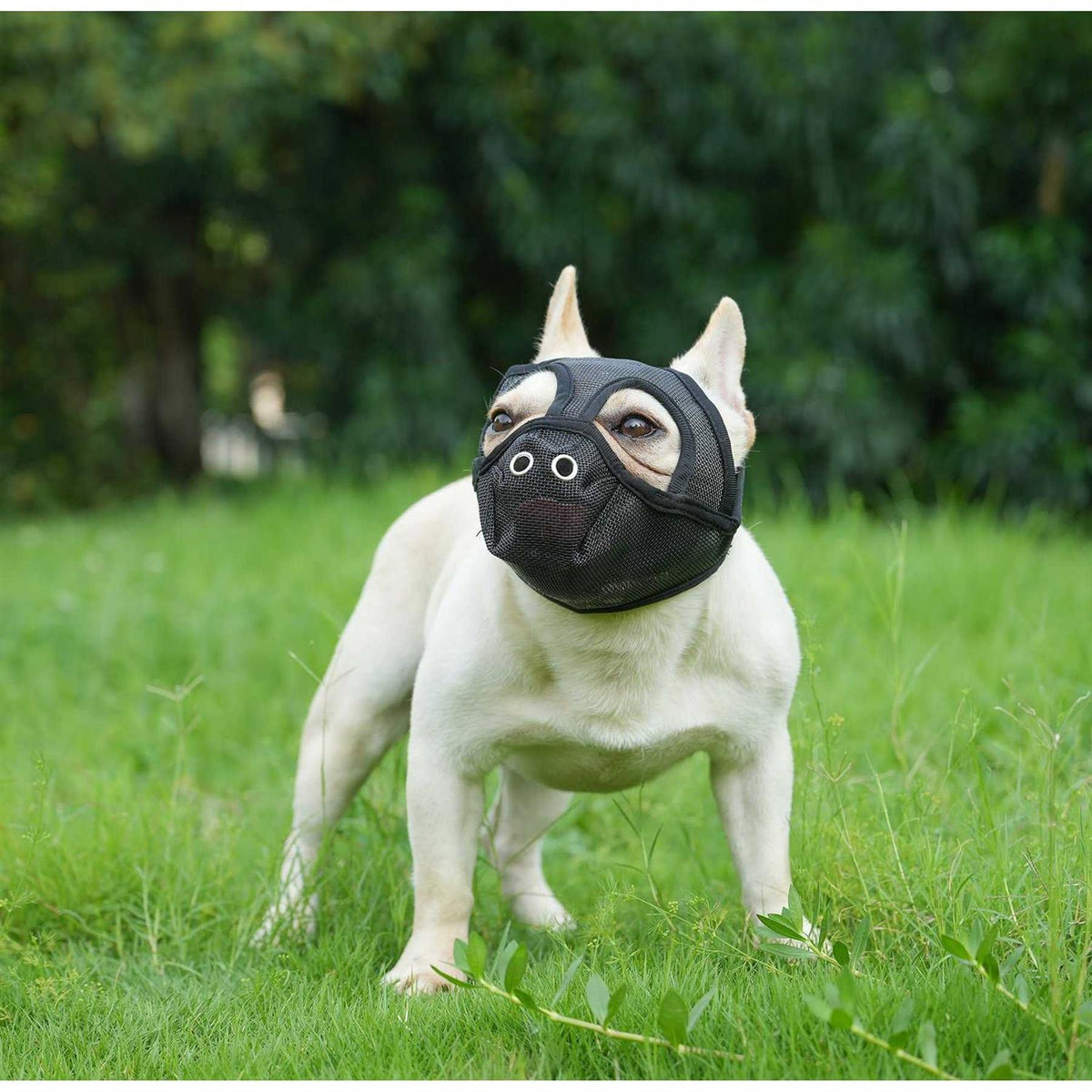 Short Snout Adjustable Breathable Mesh Dog Muzzle F43906
