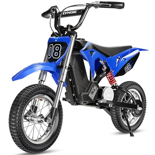 Kids Electric Dirt Bike 36V 350W 3-Speed R766