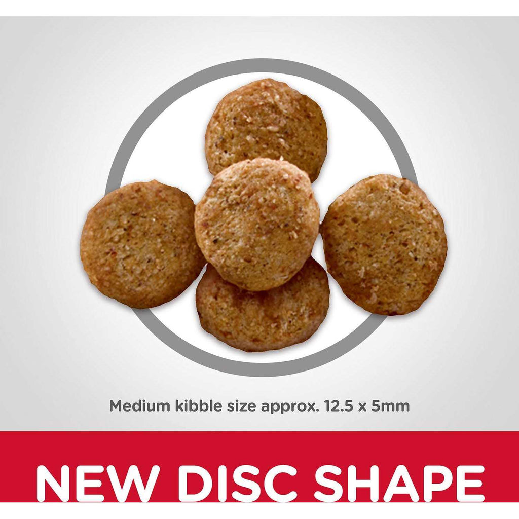 Adult Light Chicken Meal & Barley Dry Dog Food M824959