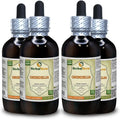 Grindelia Tincture Dried Herb Liquid Extract 4x120 ml N55034