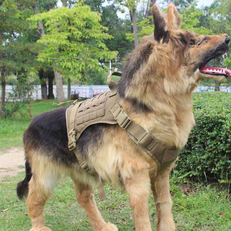 2X Metal Buckle Dog Harness with Handle U407