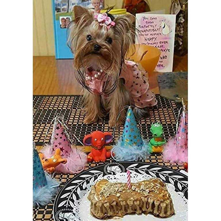 Dog Birthday Cake Kit J27126