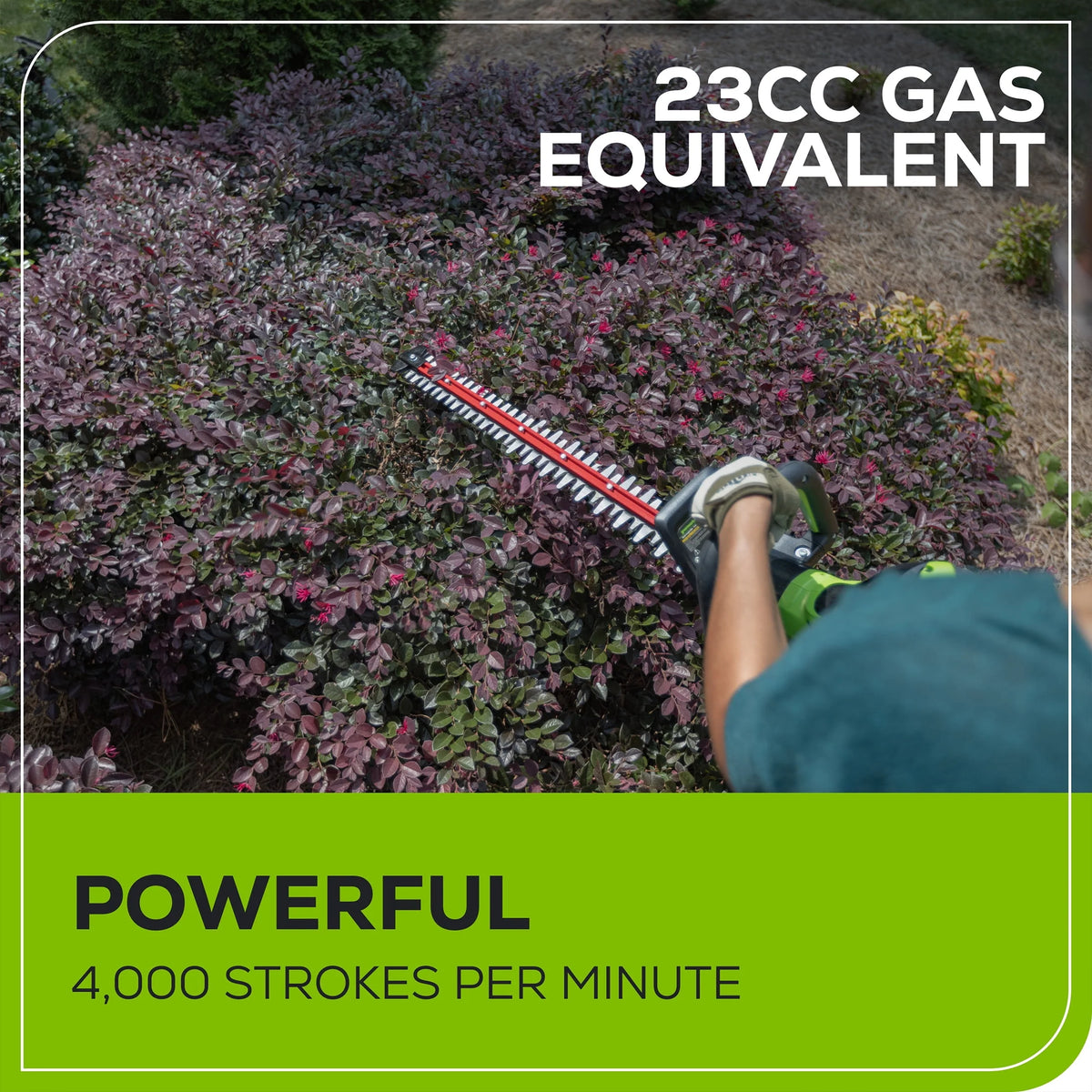 60V 26 Hedge Trimmer with 2.0 Ah Battery & 3 Amp Charger A815
