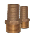 Bronze Pipe to Hose Adapter O56702