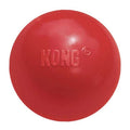 Dog Toy Ball S19873