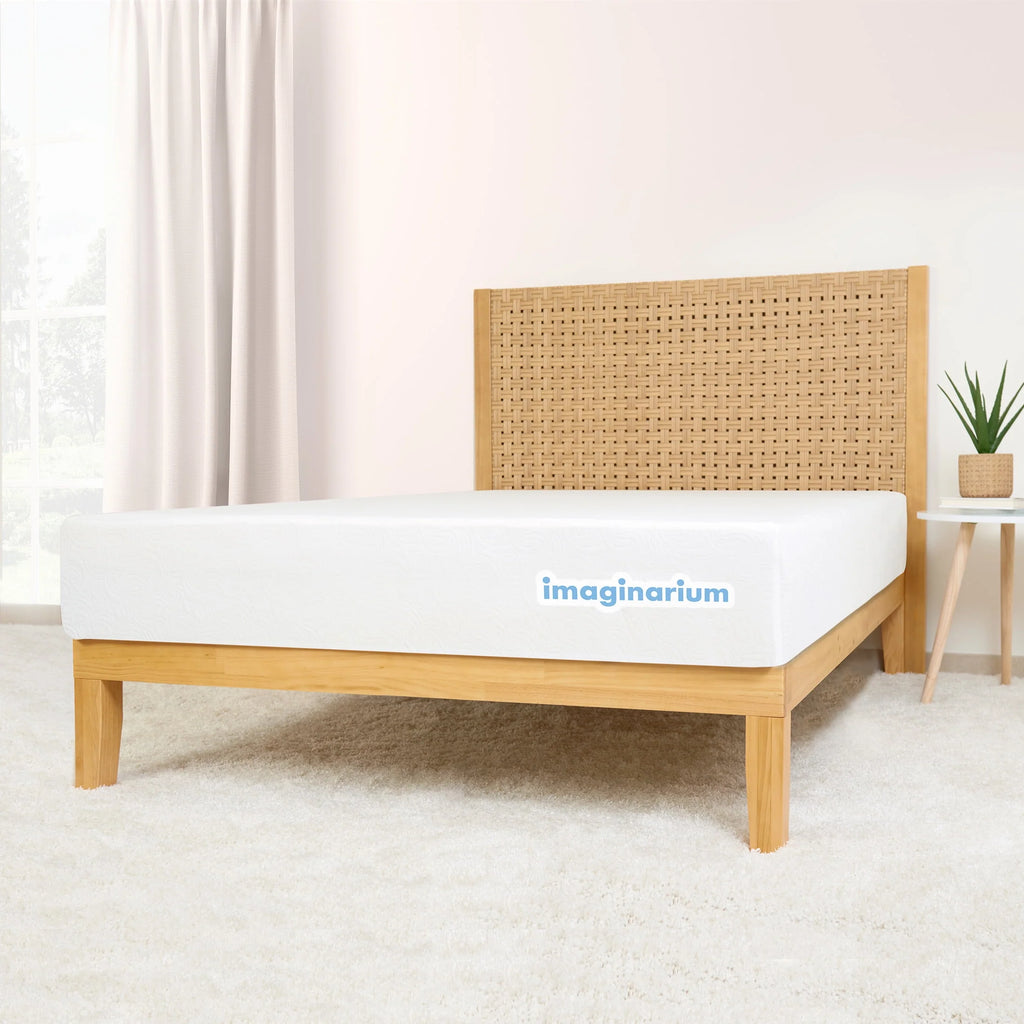 Twin Memory Foam and Coils Mattress L5012